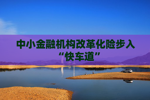 中小金融机构改革化险步入“快车道”