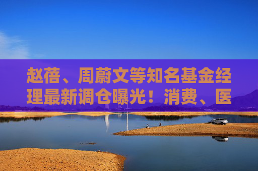 赵蓓、周蔚文等知名基金经理最新调仓曝光！消费、医疗等领域受关注