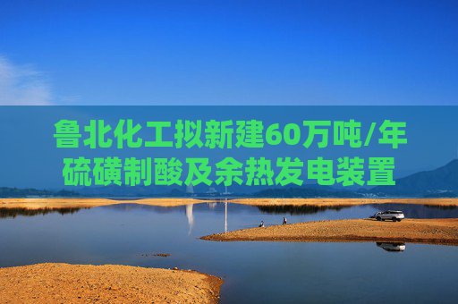 鲁北化工拟新建60万吨/年硫磺制酸及余热发电装置