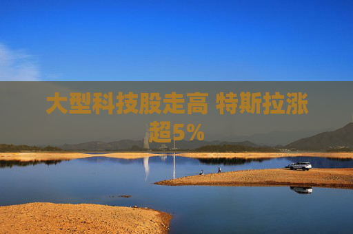 大型科技股走高 特斯拉涨超5%