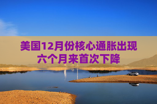 美国12月份核心通胀出现六个月来首次下降