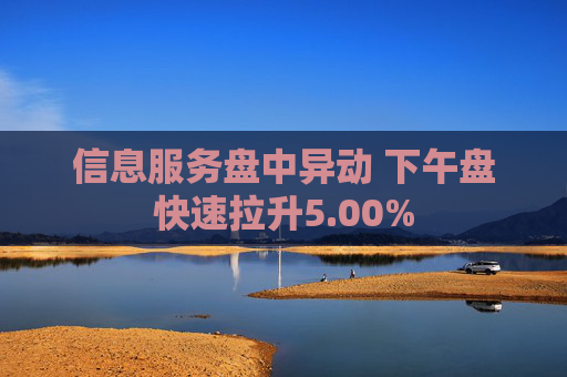 信息服务盘中异动 下午盘快速拉升5.00%