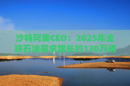 沙特阿美CEO：2025年全球石油需求增长约130万桶/日