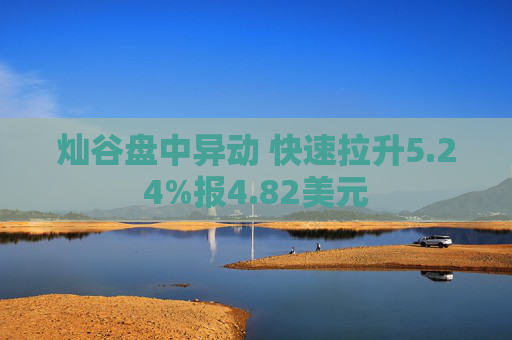 灿谷盘中异动 快速拉升5.24%报4.82美元
