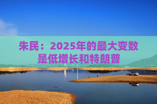 朱民：2025年的最大变数是低增长和特朗普