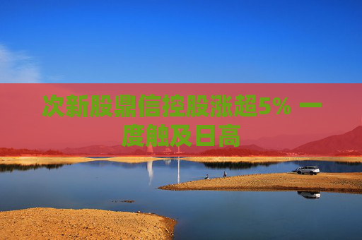 次新股鼎信控股涨超5% 一度触及日高