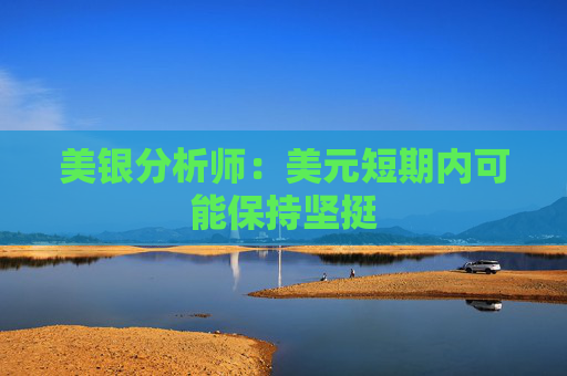 美银分析师：美元短期内可能保持坚挺