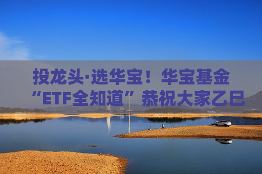 投龙头·选华宝！华宝基金“ETF全知道”恭祝大家乙巳蛇年：蛇来运转、巳巳如意， 财源广聚、长盈相随！