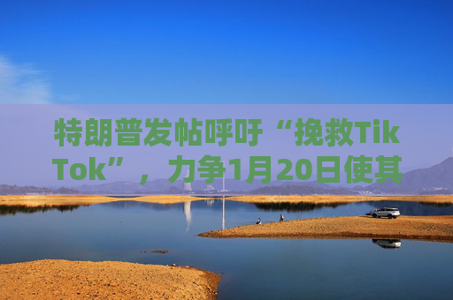 特朗普发帖呼吁“挽救TikTok”，力争1月20日使其重新上线
