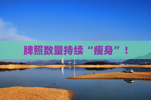 牌照数量持续“瘦身”！