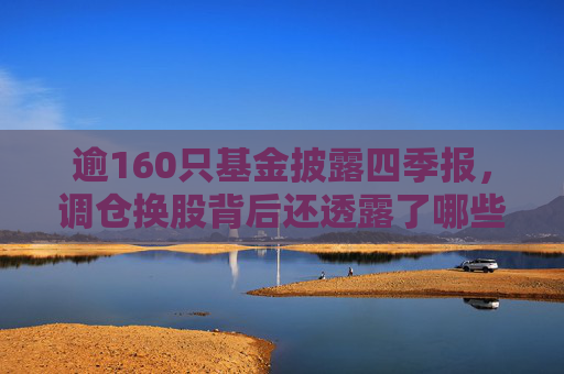 逾160只基金披露四季报，调仓换股背后还透露了哪些线索