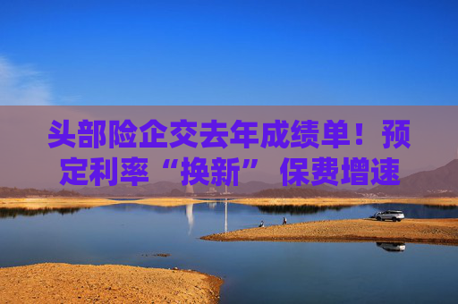 头部险企交去年成绩单！预定利率“换新” 保费增速如何延续？