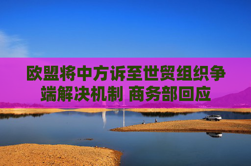 欧盟将中方诉至世贸组织争端解决机制 商务部回应