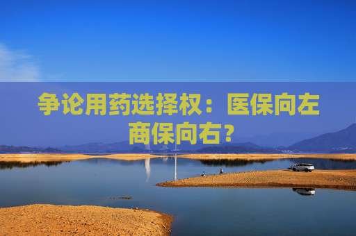 争论用药选择权：医保向左 商保向右？