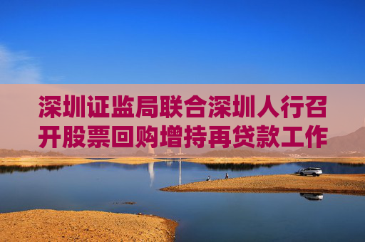 深圳证监局联合深圳人行召开股票回购增持再贷款工作推进会
