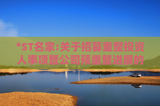 *ST名家:关于招募重整投资人事项暨公司预重整进展的公告