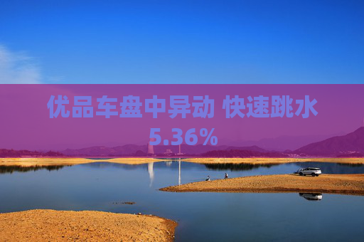 优品车盘中异动 快速跳水5.36%