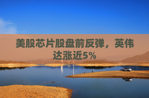 美股芯片股盘前反弹，英伟达涨近5%