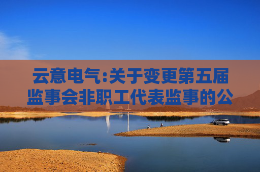 云意电气:关于变更第五届监事会非职工代表监事的公告
