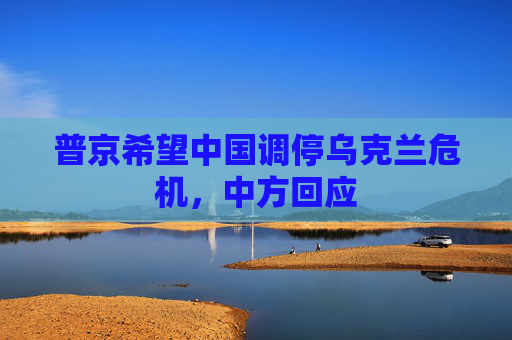 普京希望中国调停乌克兰危机，中方回应