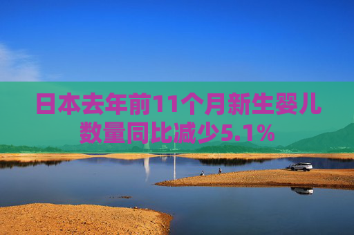 日本去年前11个月新生婴儿数量同比减少5.1%