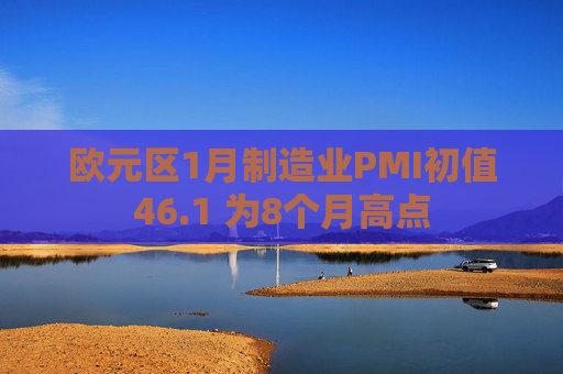 欧元区1月制造业PMI初值46.1 为8个月高点