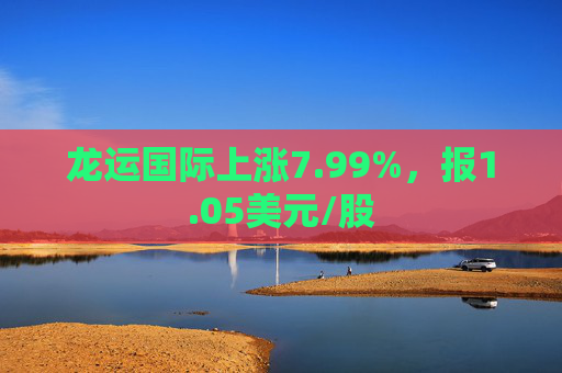 龙运国际上涨7.99%，报1.05美元/股