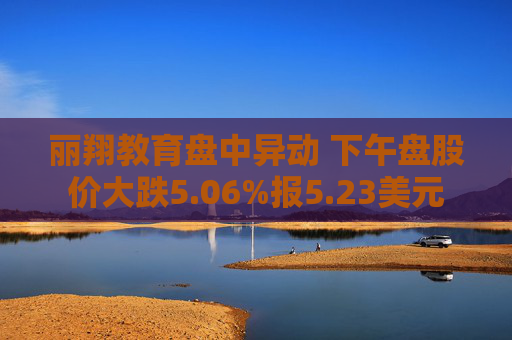 丽翔教育盘中异动 下午盘股价大跌5.06%报5.23美元