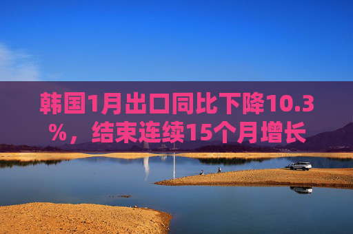 韩国1月出口同比下降10.3%，结束连续15个月增长