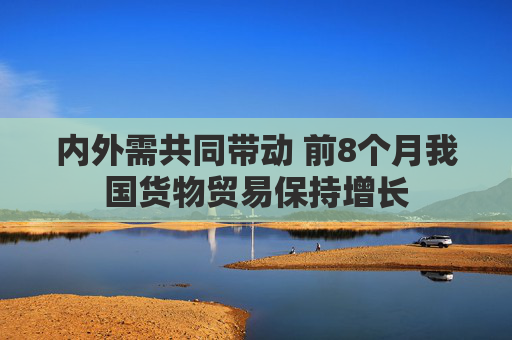 内外需共同带动 前8个月我国货物贸易保持增长