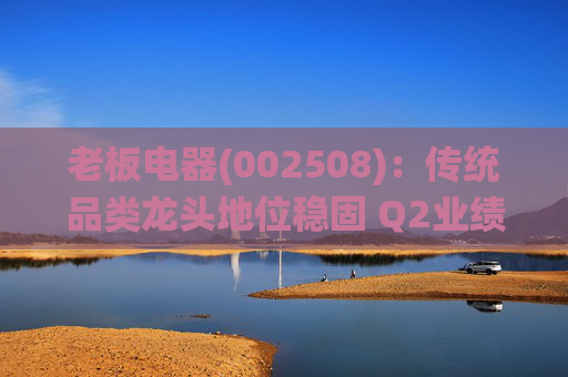老板电器(002508)：传统品类龙头地位稳固 Q2业绩阶段承压