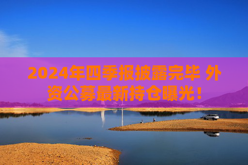 2024年四季报披露完毕 外资公募最新持仓曝光！