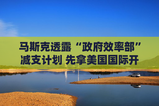 马斯克透露“政府效率部”减支计划 先拿美国国际开发署开刀