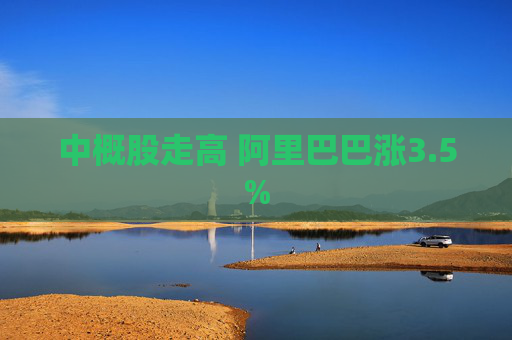 中概股走高 阿里巴巴涨3.5%