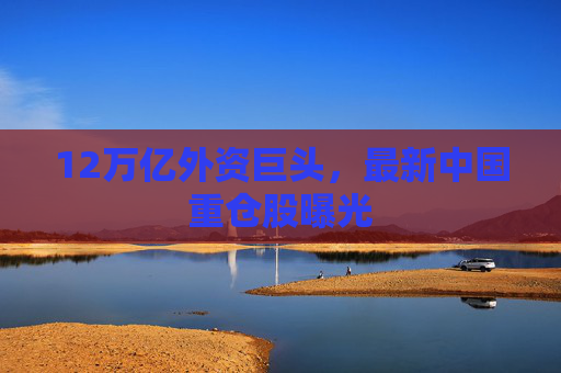 12万亿外资巨头，最新中国重仓股曝光