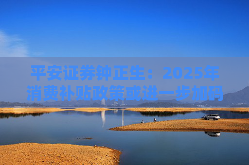 平安证券钟正生：2025年消费补贴政策或进一步加码 政策力度和支持范围双扩容