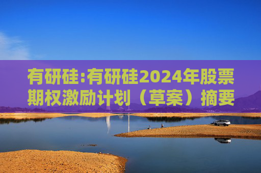 有研硅:有研硅2024年股票期权激励计划（草案）摘要公告