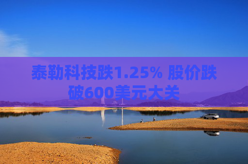 泰勒科技跌1.25% 股价跌破600美元大关