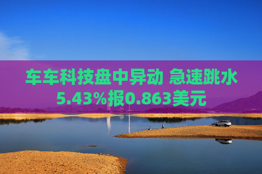 车车科技盘中异动 急速跳水5.43%报0.863美元