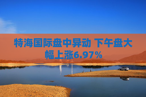 特海国际盘中异动 下午盘大幅上涨6.97%