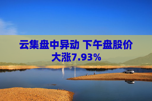 云集盘中异动 下午盘股价大涨7.93%