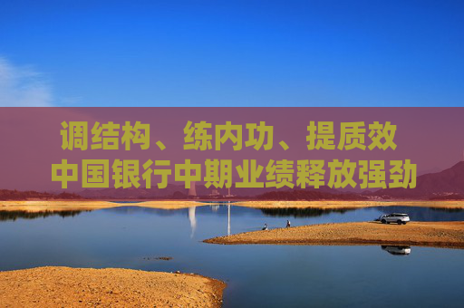 调结构、练内功、提质效 中国银行中期业绩释放强劲韧性