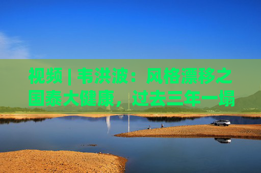 视频 | 韦洪波：风格漂移之国泰大健康，过去三年一塌糊涂还嘴硬