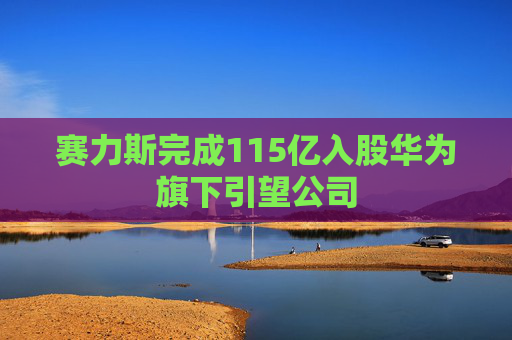 赛力斯完成115亿入股华为旗下引望公司