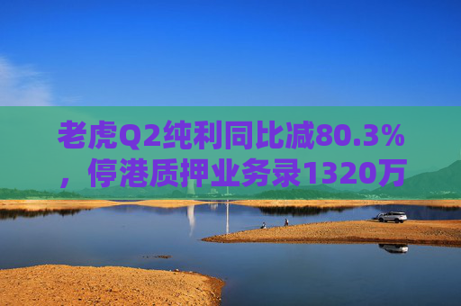 老虎Q2纯利同比减80.3%，停港质押业务录1320万美元亏损拨备