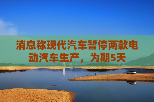 消息称现代汽车暂停两款电动汽车生产，为期5天