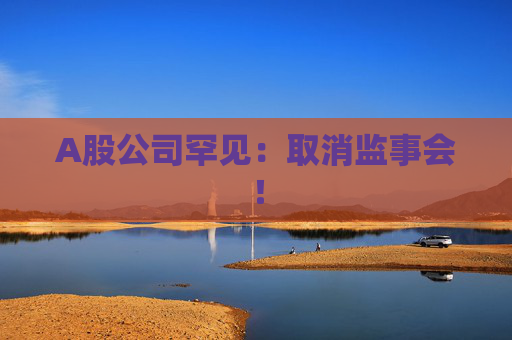 A股公司罕见：取消监事会！