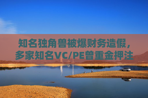 知名独角兽被爆财务造假，多家知名VC/PE曾重金押注