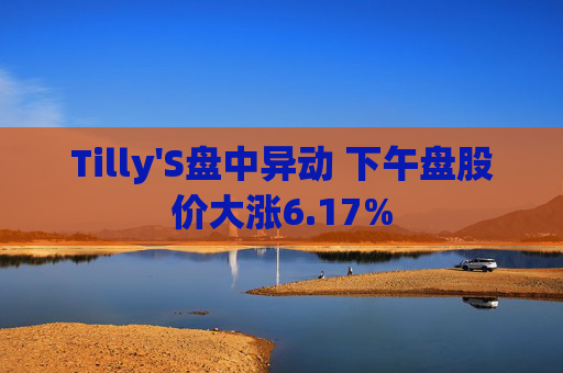 Tilly'S盘中异动 下午盘股价大涨6.17%