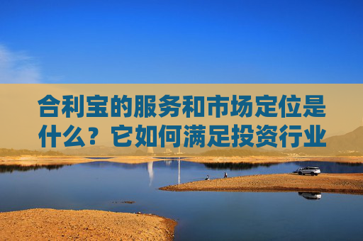 合利宝的服务和市场定位是什么？它如何满足投资行业的需求？